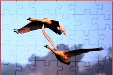 geese-8 jigsaw puzzle