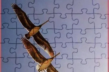 sync-9 jigsaw puzzle