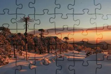 Araucania - Chile jigsaw puzzle