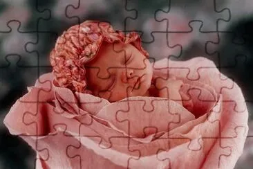 boccioli jigsaw puzzle