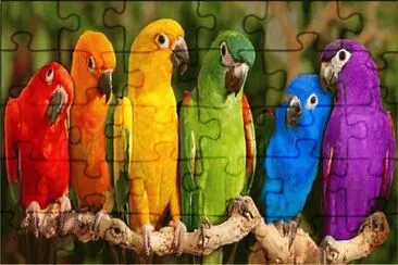 mas loritos jigsaw puzzle