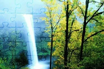 41 jigsaw puzzle