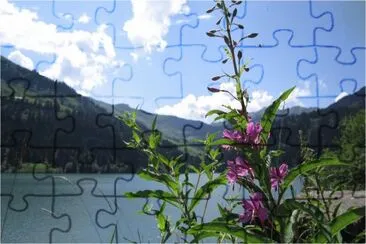 Fleurs et Lac jigsaw puzzle