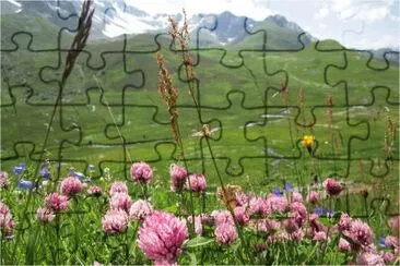 Parterre de fleurs jigsaw puzzle