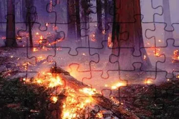 16 jigsaw puzzle