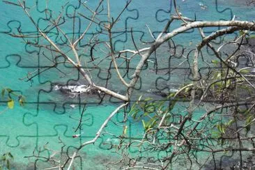 Praia do Sancho-Fernando de Noronha - Brasil