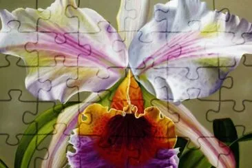 Orquidea jigsaw puzzle