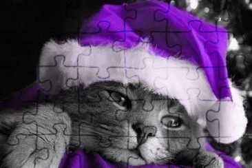 Purple Santa Kitty