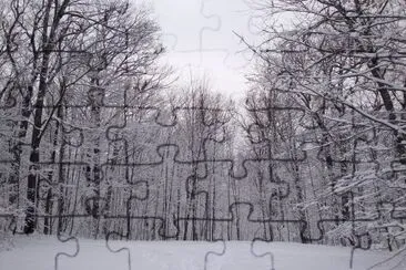 snow jigsaw puzzle