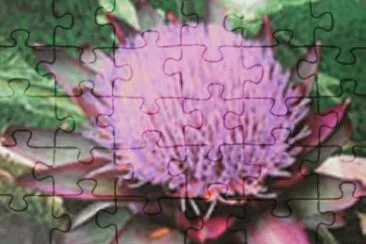 Exotica jigsaw puzzle