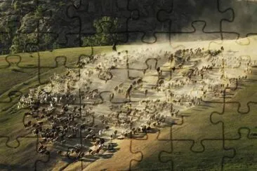 lugares jigsaw puzzle