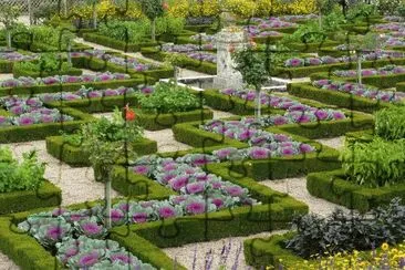 Jardines del chateau Villandry, Francia 1