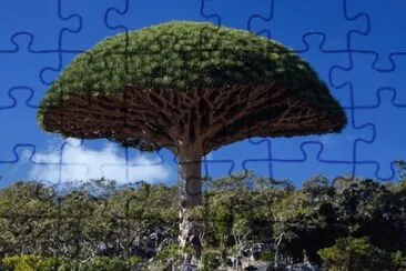 Arvore Exotica  - Yemen jigsaw puzzle