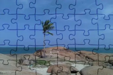 Paisagens de TamandarÃ© - PE jigsaw puzzle