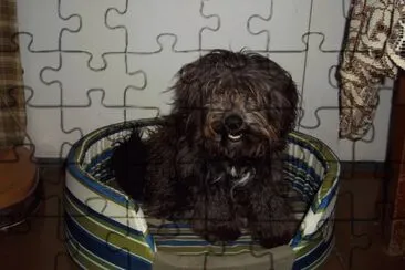 TEO jigsaw puzzle