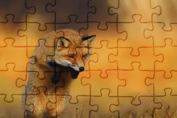 . jigsaw puzzle