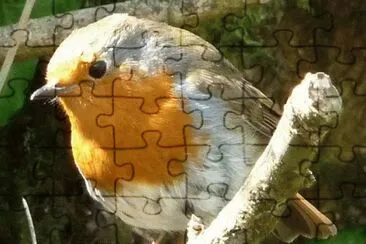 Nature jigsaw puzzle