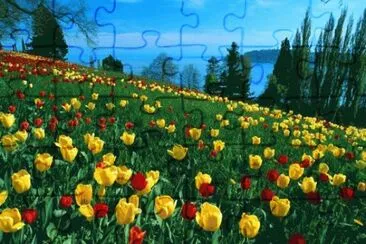 2o dez jigsaw puzzle