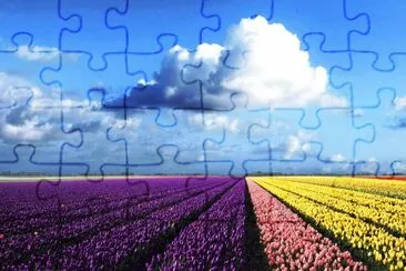 flower farm jigsaw puzzle