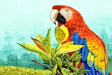 amazonas 1 jigsaw puzzle