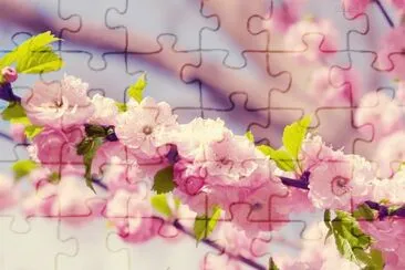 galhos com flores jigsaw puzzle