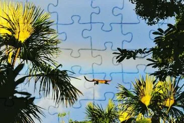 mar jigsaw puzzle