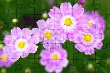 summer-15 jigsaw puzzle