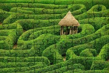 laberinto verde jigsaw puzzle