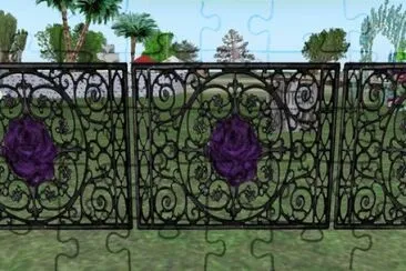 Purple Rose Fence