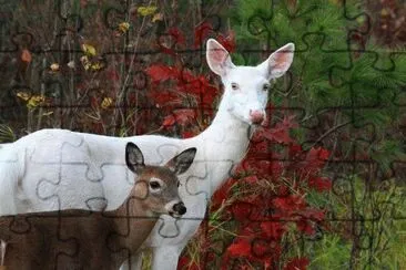 MADRE E HIJO