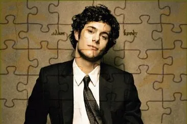 Adam Brody jigsaw puzzle