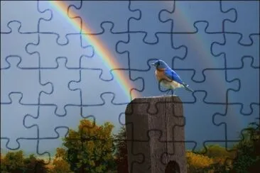 Bird before double rainbow jigsaw puzzle