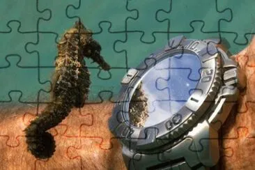 Seahorse time check jigsaw puzzle