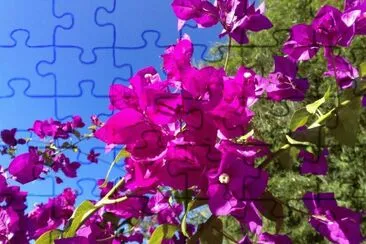 Bougainville jigsaw puzzle