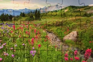 Campo de Fores Selvagens jigsaw puzzle