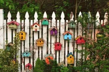 Birdhouse Garden