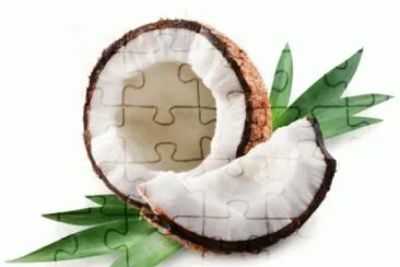 cocco jigsaw puzzle