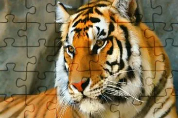 tigre jigsaw puzzle