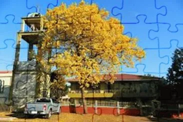 Ipe Amarelo jigsaw puzzle