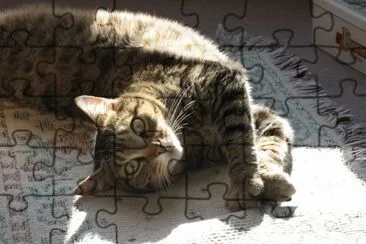 CAT: BALOO jigsaw puzzle