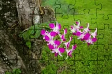 Orquidea jigsaw puzzle