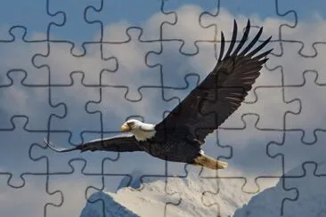 aguila en la montaÃ±a jigsaw puzzle