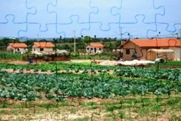 פאזל של Agrovila