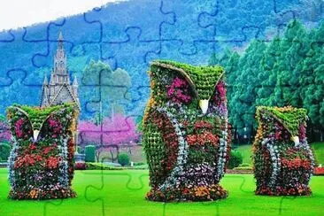 coruja jigsaw puzzle