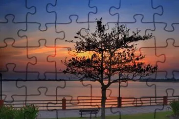  jigsaw puzzle