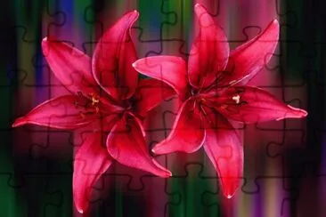 Flowers jigsaw puzzle