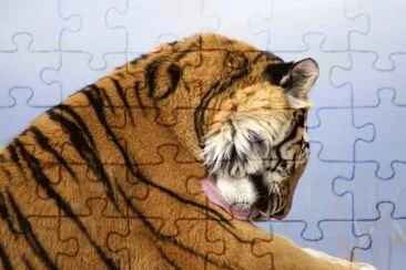 lamiendose jigsaw puzzle