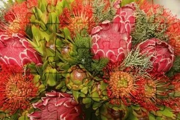 Protea Bouquet