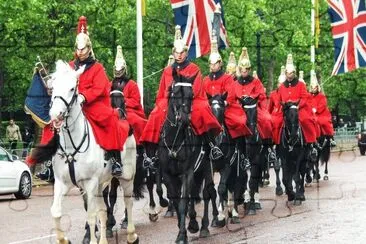 Palace Guards