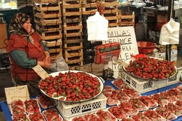 Turgetries Market Turkey